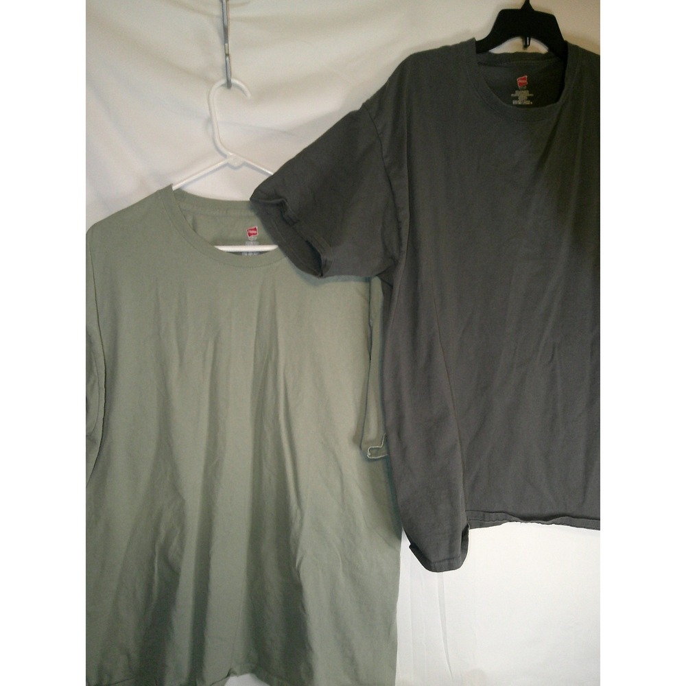 Lot of 2 Hanes Tagless Cotton T-Shirts 2 Pack Short Sleeve Casual Everyday 2XL